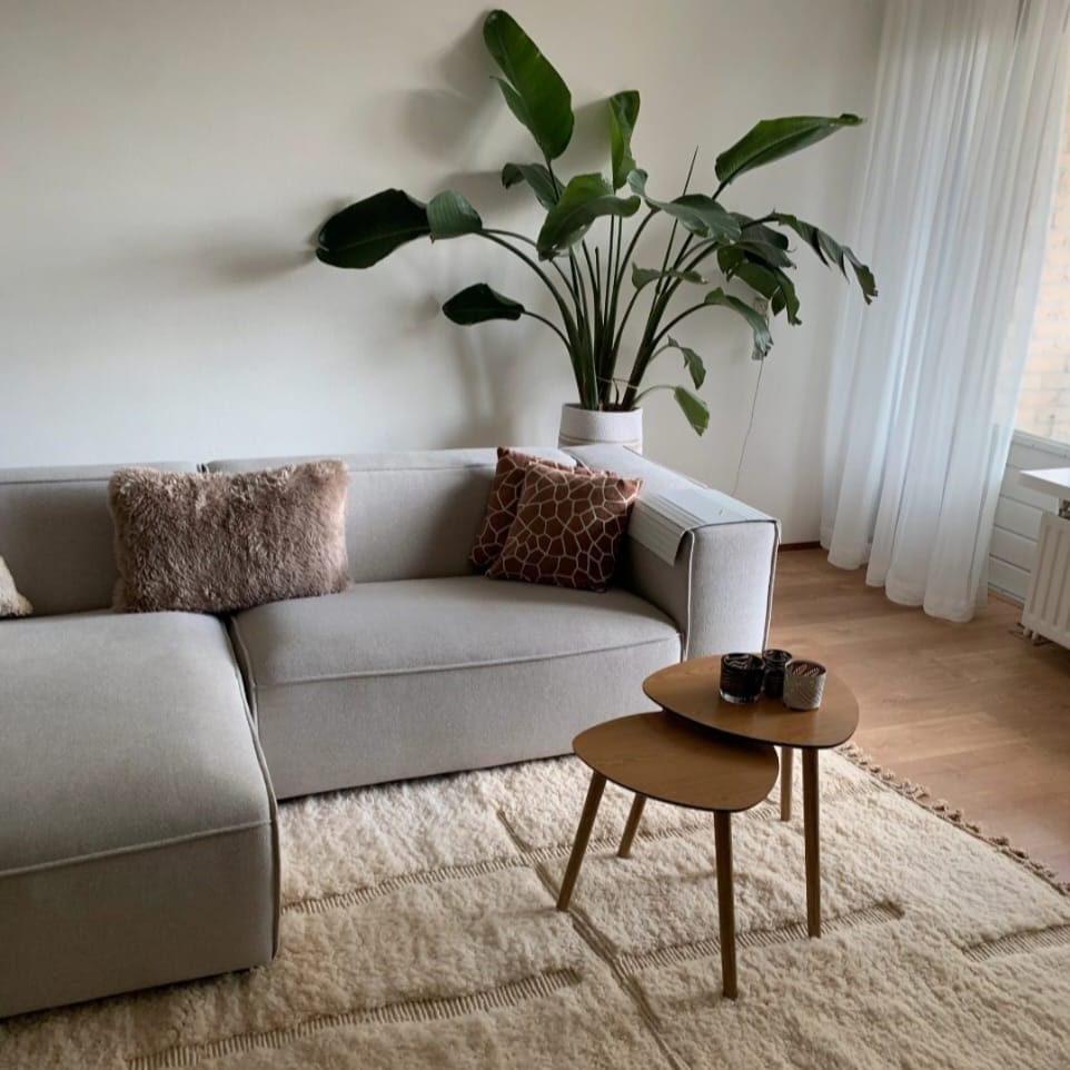 Neutral cream Moroccan Beni Ourain wool rug styled in a modern living room
