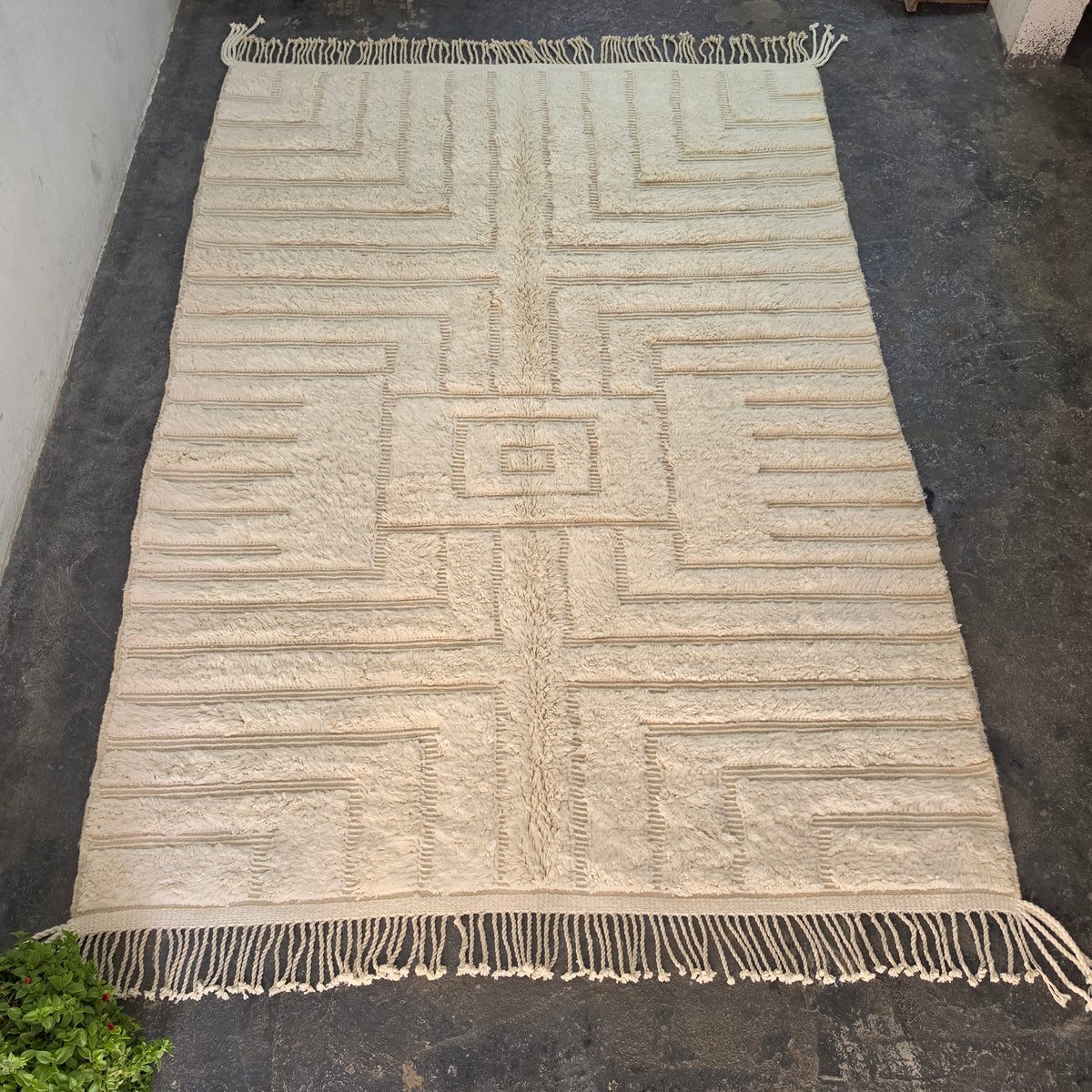 سجادة بني ورين سادة – صوف عاجي بالكامل بمتاهة بارزة منحوتة | 218 × 305 سم